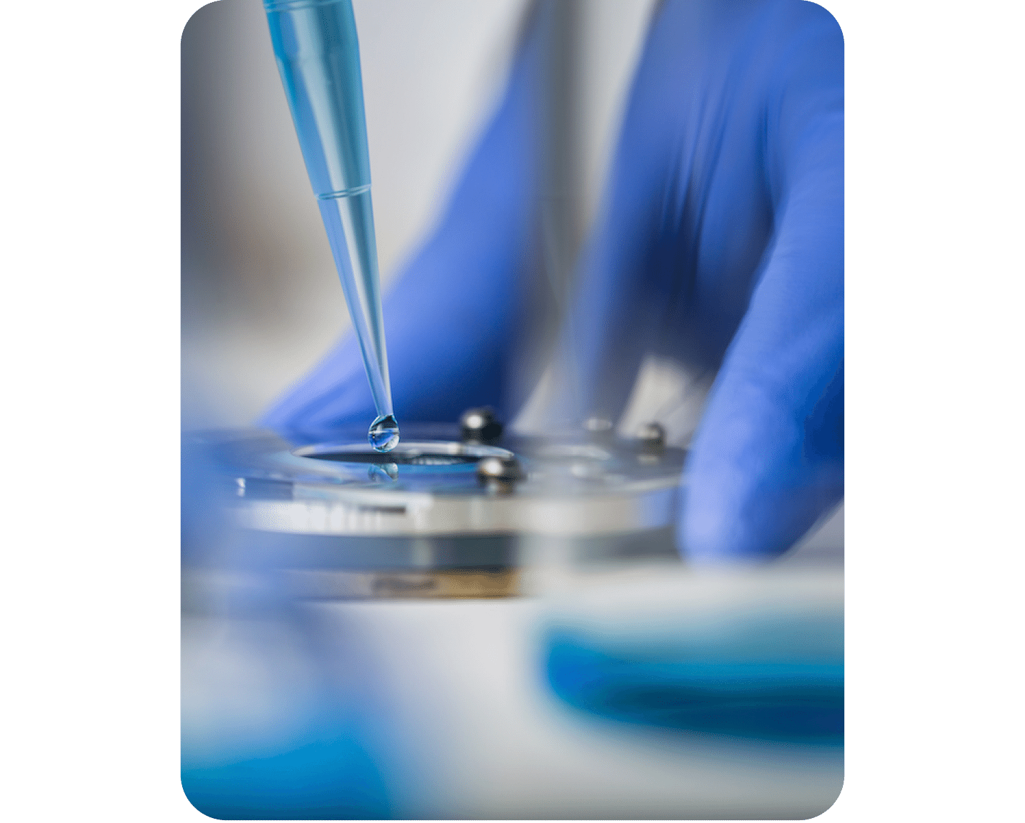 Image showcasing CBDOps production process of their THC free CBD products.